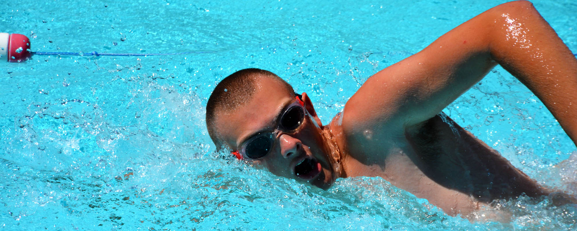 Swimming at our Olympic Sized Pool