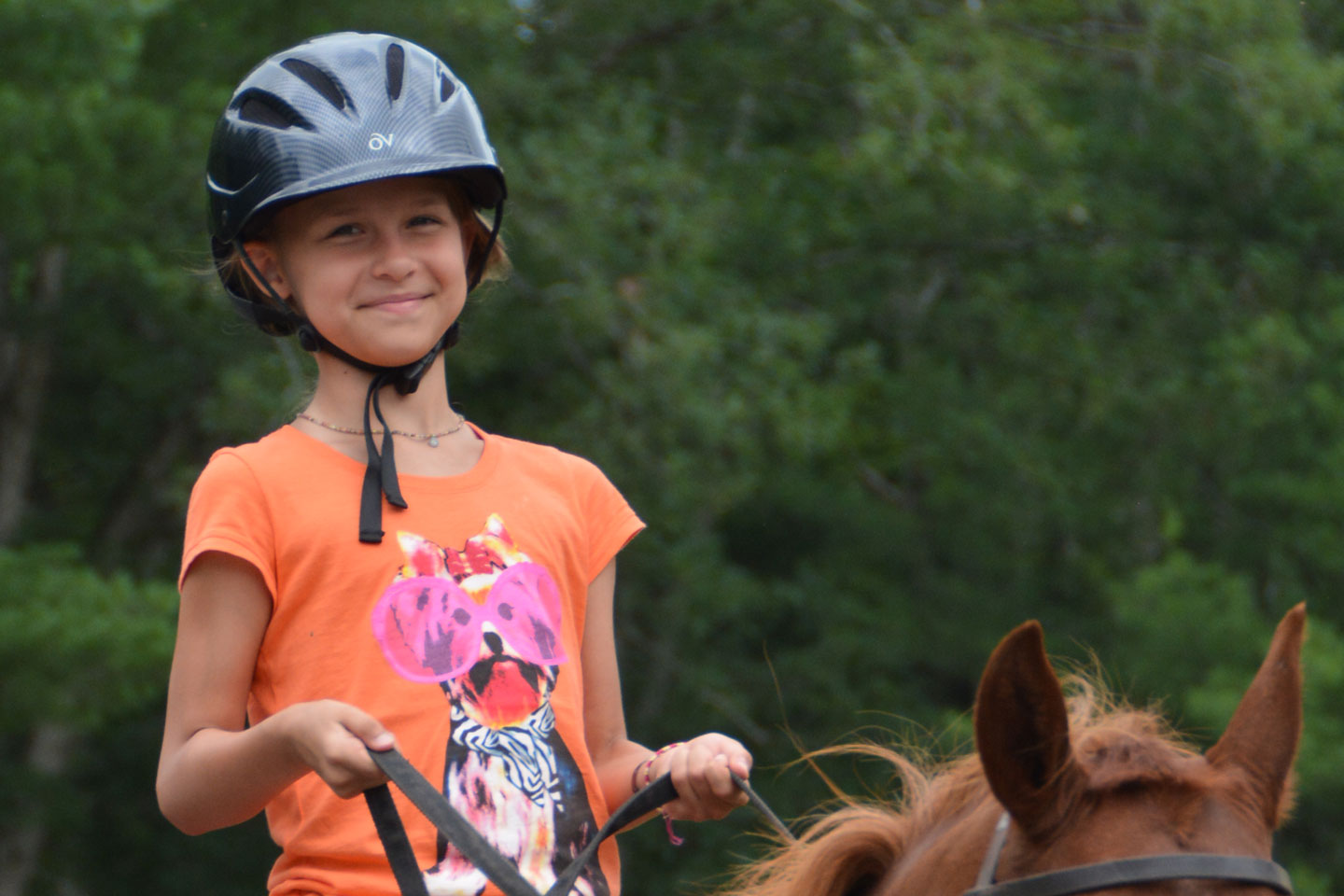 Horseback riding instruction